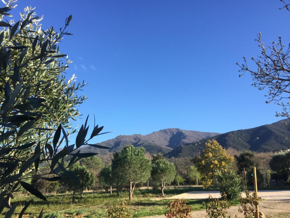 Domaine Pedra Llampada Gite Cerise Villelongue-dels-Monts Экстерьер фото