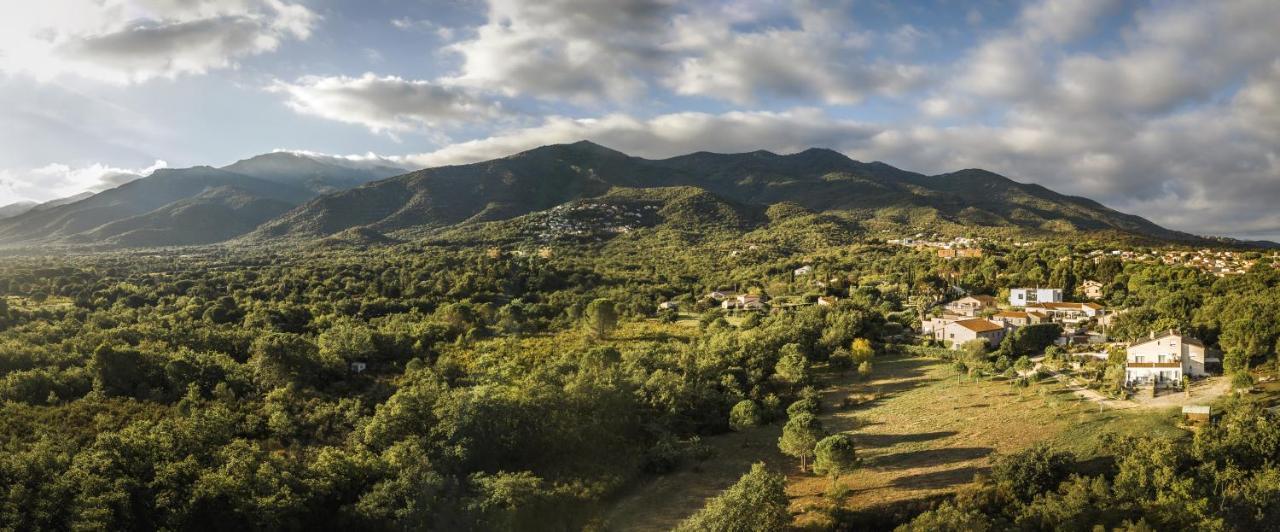 Domaine Pedra Llampada Gite Cerise Villelongue-dels-Monts Экстерьер фото